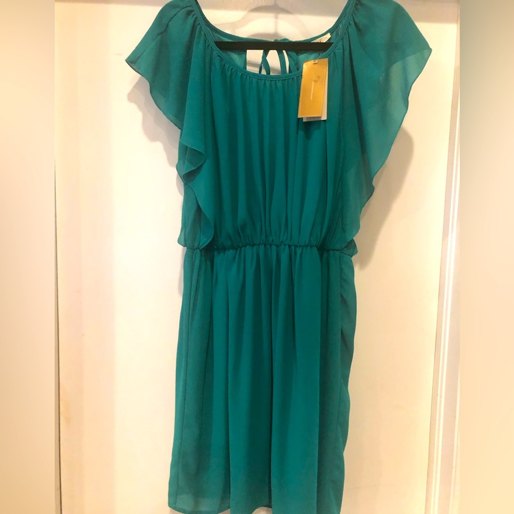 Francesca’s Miami brand open back Dress